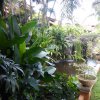 Bali Tropic Resort & Spa (40)